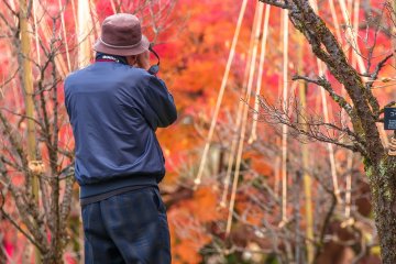 Photographer capturing the season