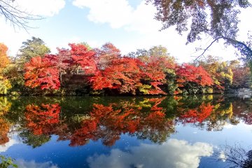 reflection