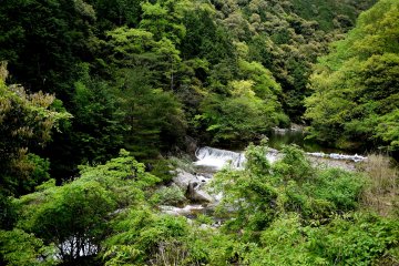<p>Pretty waterfall beside the road</p>