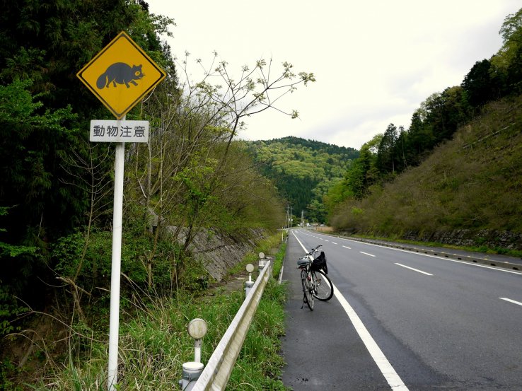 <p>Watch out for those tanuki!</p>