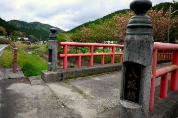 <p>A red bridge surrounded by late-blooming cherry trees</p>