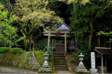 <p>Small shrine beside the road</p>
