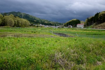 <p>Looks like rain is coming</p>
