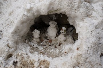 Miniature snowmen just outside of the main entrance