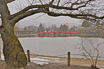 The striking red footbridge over the moat behind the castle