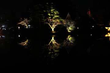 <p>Like a mirror, the pond reflected trees creating a symmetrical work of art</p>