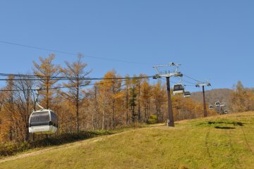 Tochigi's Mt. Jeans