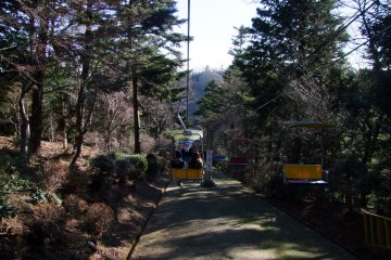 <p>Enjoying nature</p>