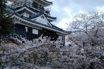 Hamamatsu Castle
