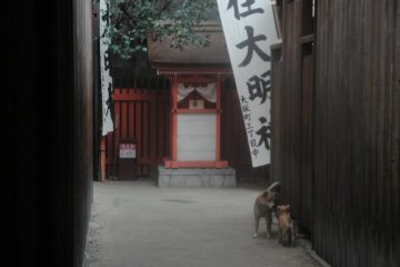 Down the Alley