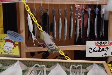 <p>Fish and squid drying out in the air</p>