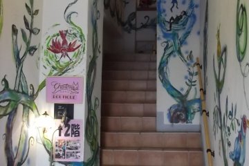 <p>This is the way in</p>