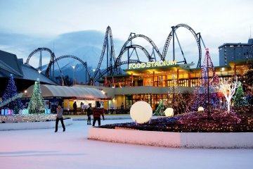 I didn't recognize Mt.Fuji when I first stepped inside&nbsp;the skating rink. It&nbsp;was much larger than&nbsp;I thought!