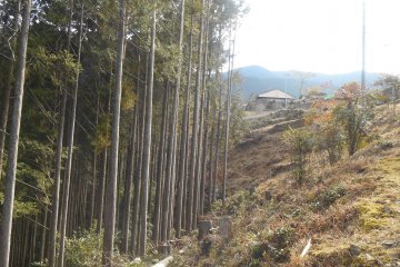 <p>The path can be steep in some places</p>