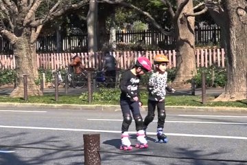 Meiji Jingu Gaien