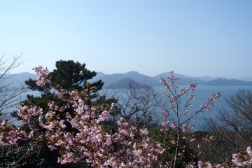 <p>La montagne Shizuki vu du volcan Kasa</p>
