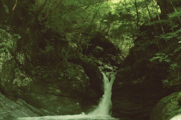 <p>Just another random waterfall...</p>