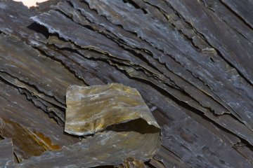 Dried algae