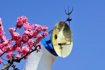 Tower of the Sun and Plum Blossoms