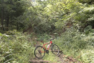 <p>I came across a landslide in the road, I was able to walk around it.</p>