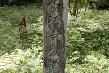 <p>An abandoned park near the village site.</p>