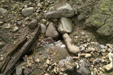 <p>A spring in the valley.</p>