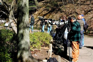 <p>The super lens brigade</p>