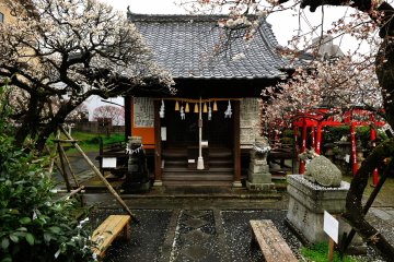 Scapegoat Tenjin Shrine in Nagasaki