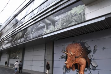 <p>Triceratops jumping out of a wall!</p>