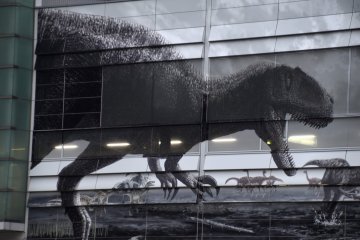 <p>Mural painting of dinosaurs of Fukui</p>