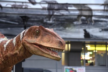 <p>Scary-looking Fukui-raptor...is he hungry?!</p>