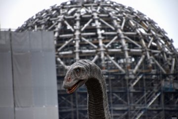 <p>Godzilla?? No, he's Fukui-titan!</p>