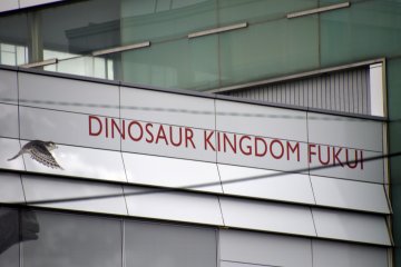 <p>Dinosaur Kingdom Fukui!</p>