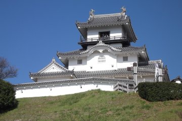 <p>The castle is perched on a hill overlooking the town</p>