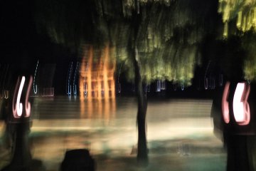 From along the shore