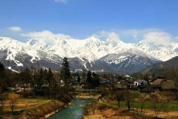 Footsteps of Spring