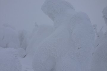 <p>It was -6.5 and with the wind picking up, visibility wasn't the best. That effect though, made it almost surreal.</p>