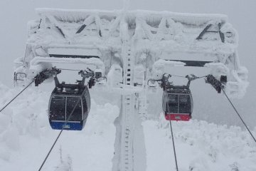 <p>The cable cars that take you to and from the apex.</p>