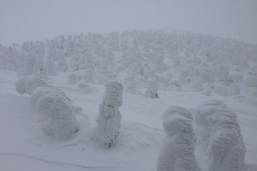 <p>Monsters, monsters everywhere!</p>