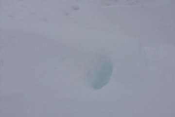 <p>There was so much snow that deep within my boot prints it looked blue.</p>