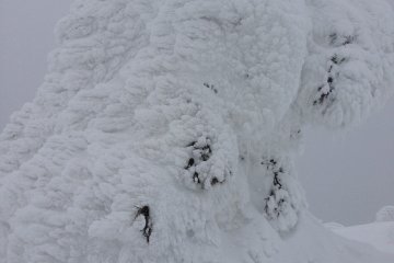 <p>He looks as if he's slowly climbing uphill.</p>