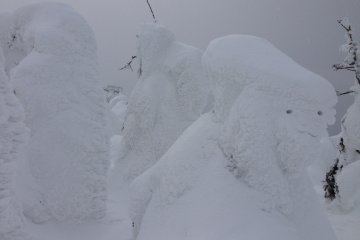 <p>Somebody gave them facial features.</p>