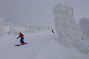 <p>How's that for perspective? They do get very huge!</p>