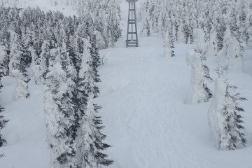 <p>Heading back down after an excellent afternoon with the monsters.</p>