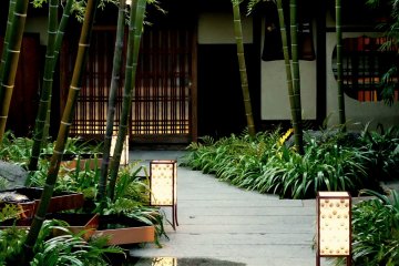 <p>Bamboo garden and lanterns</p>