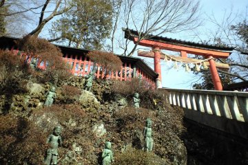 The Lake Trail: Nature and Culture