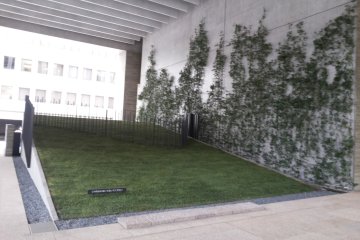 <p>tak lupa gedung ini menyediakan area penghijauan</p>