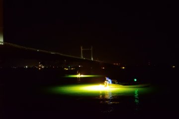 <p>Hakurobashi (Egret Bridge) and night fishing (Yoshino River)</p>