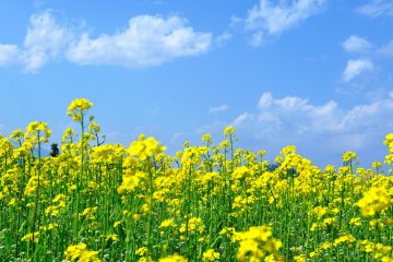 <p>The weather in the mountains changes quickly! When I looked up, the sky was blue.</p>