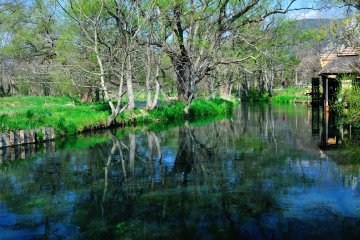 <p>Stream brimming with clear water</p>